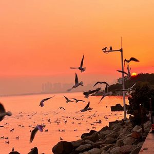 91视频永久免费
