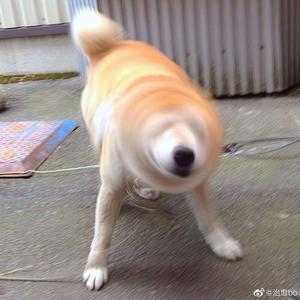 91视频永久免费
